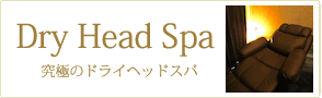 ドライヘッドスパのページへ